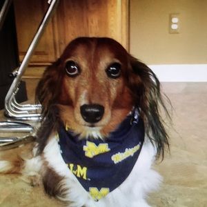 Meet your Posher, Sue